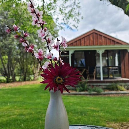 Seabreeze Holiday Park Hotwater Beach Екстер'єр фото